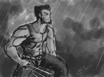 Wolverine