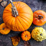 Pumpkins Announce the Fall