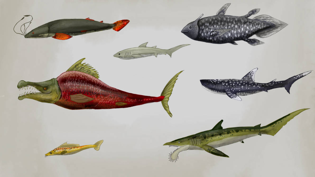 Blob fish evolution by sheepietown on DeviantArt