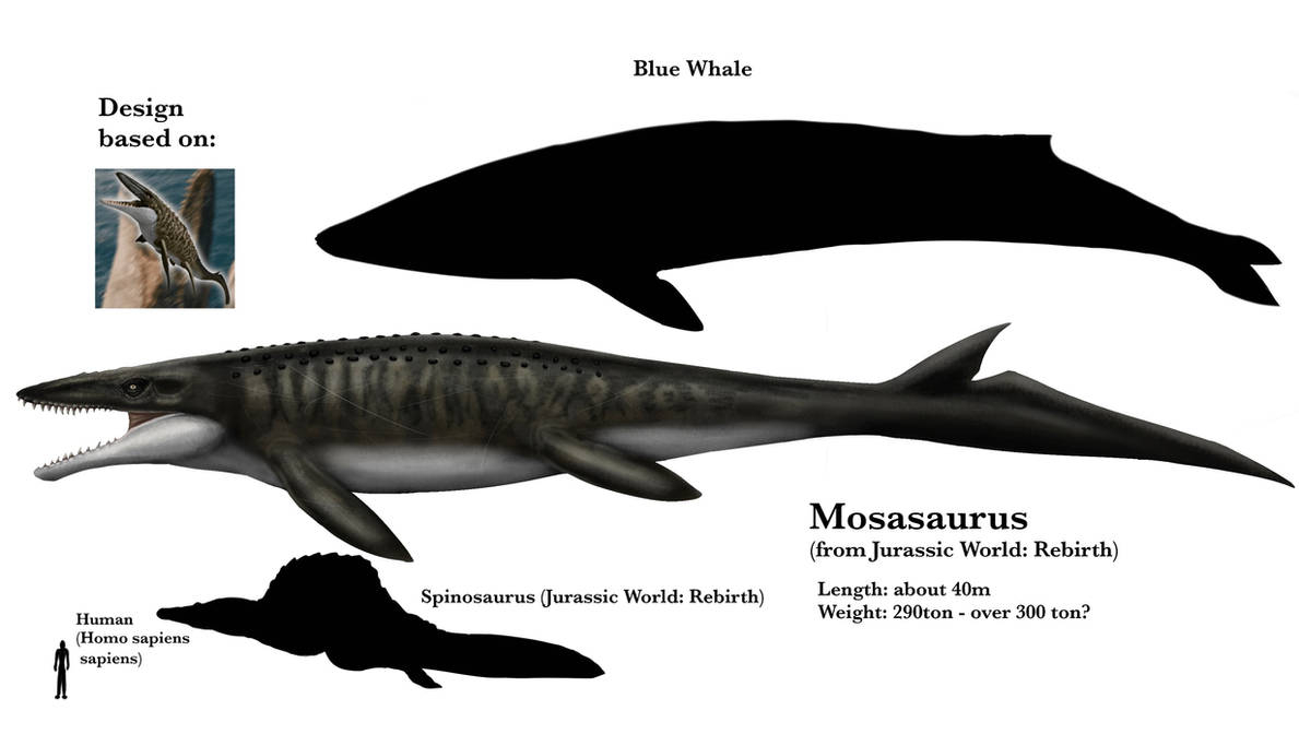 Jurassic World Rebirth Mosasaurus by TripleBomber2000 on DeviantArt