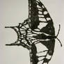 Tea Swallowtail Butterfly