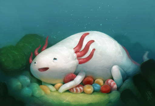 Axolotl