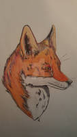 Traditional Red Fox