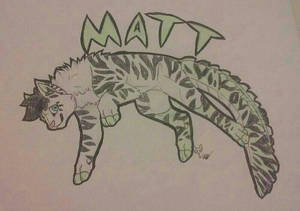 Matthew the Gator Cat