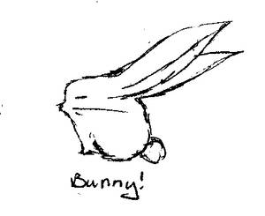 Bunny