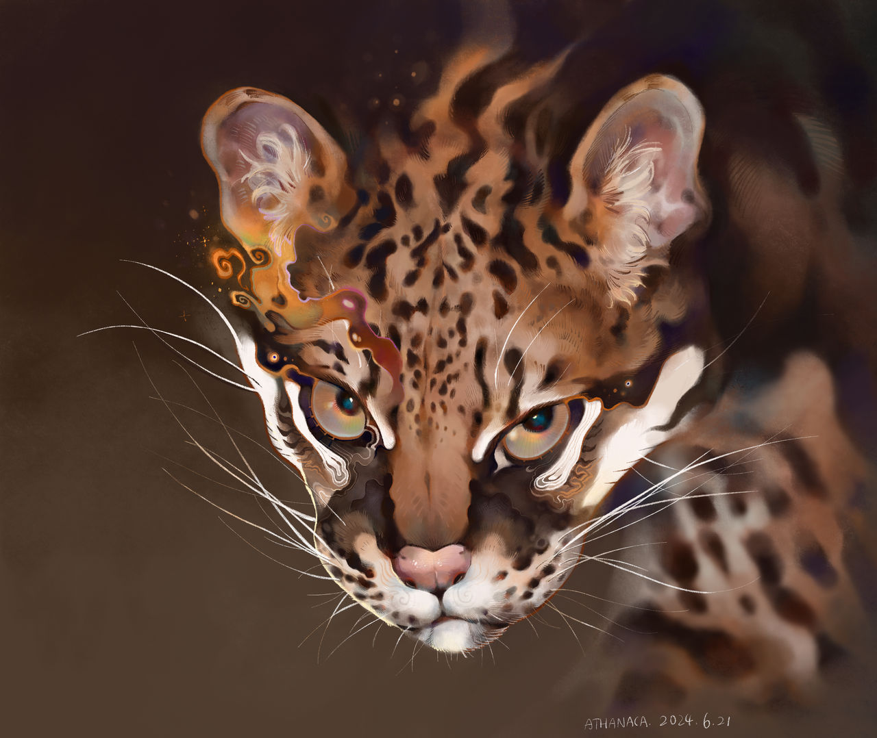 Ocelot Rapper The Ocelot by Athanaca on DeviantArt