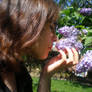 Lilacs :D