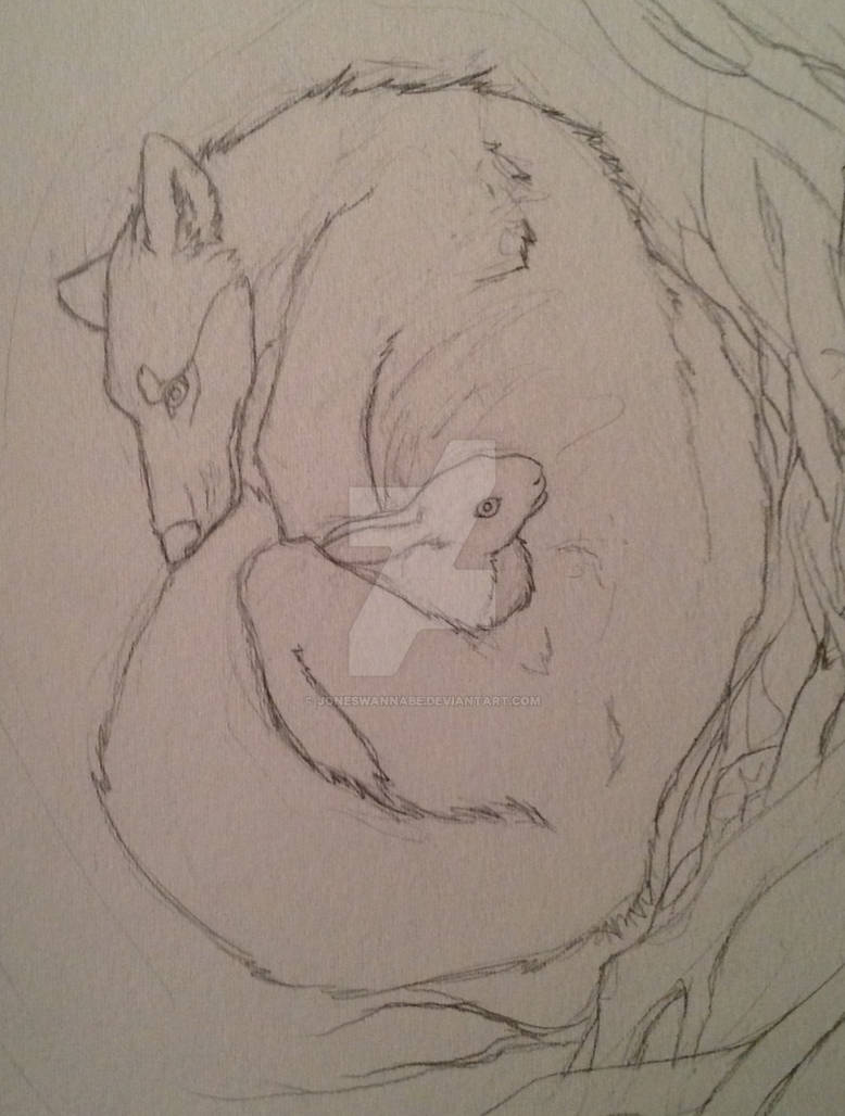 Dear Rabbit by JonesWannabe on DeviantArt