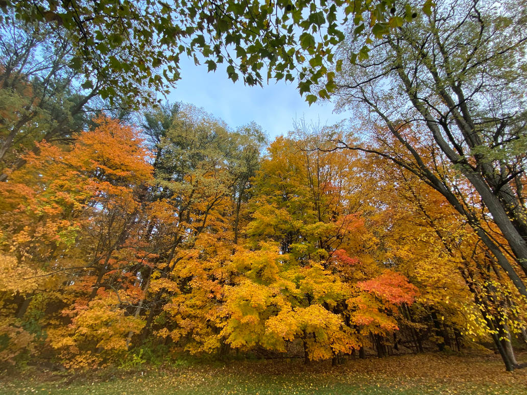 The colors of fall in New England by StarDust247 on DeviantArt