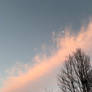Pink Streak