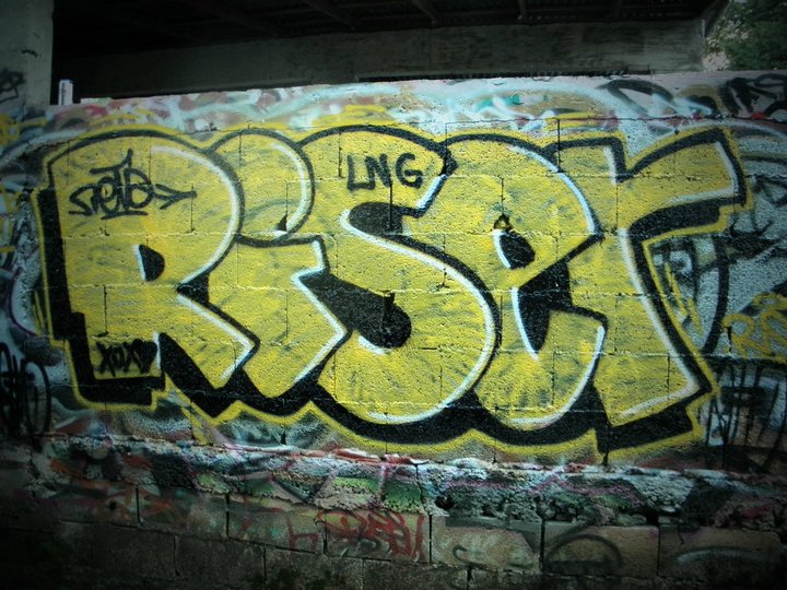 Riser Oldskool