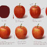 Study Fruit Apple