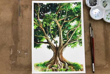 Watercolor tree