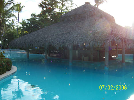 swim up bar 1