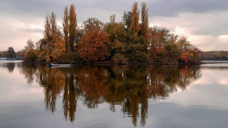 Autumn colours 