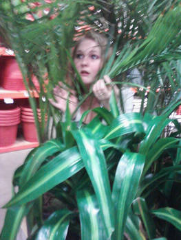 Deep in the jungle, AKA Home Depot
