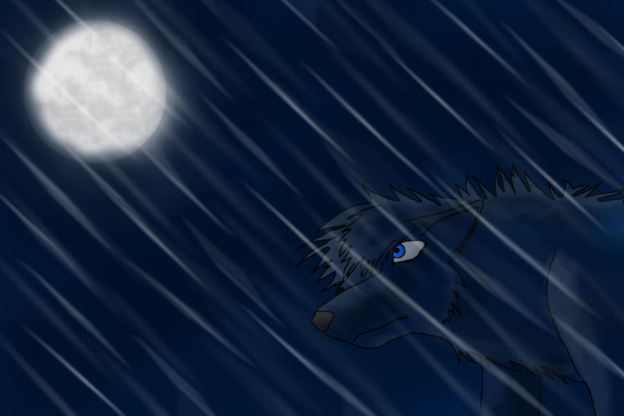 Invisible by Fang20 on DeviantArt