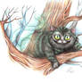 Cheshire cat)