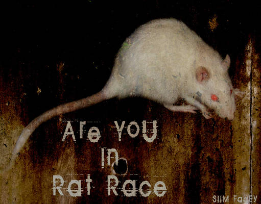 Rat Race 2