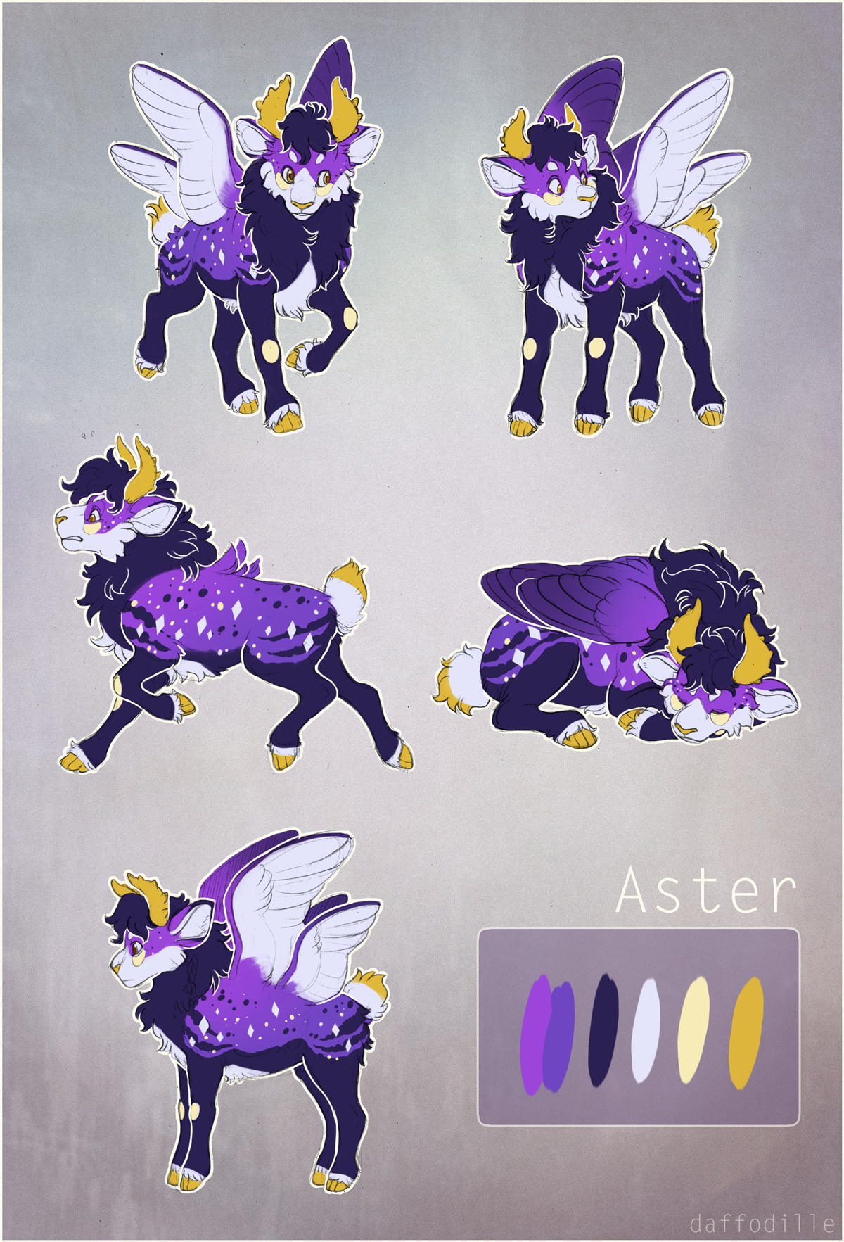 MYO Pouflon: Aster