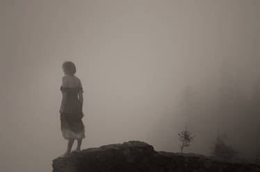 Foggy mountain Muse 2
