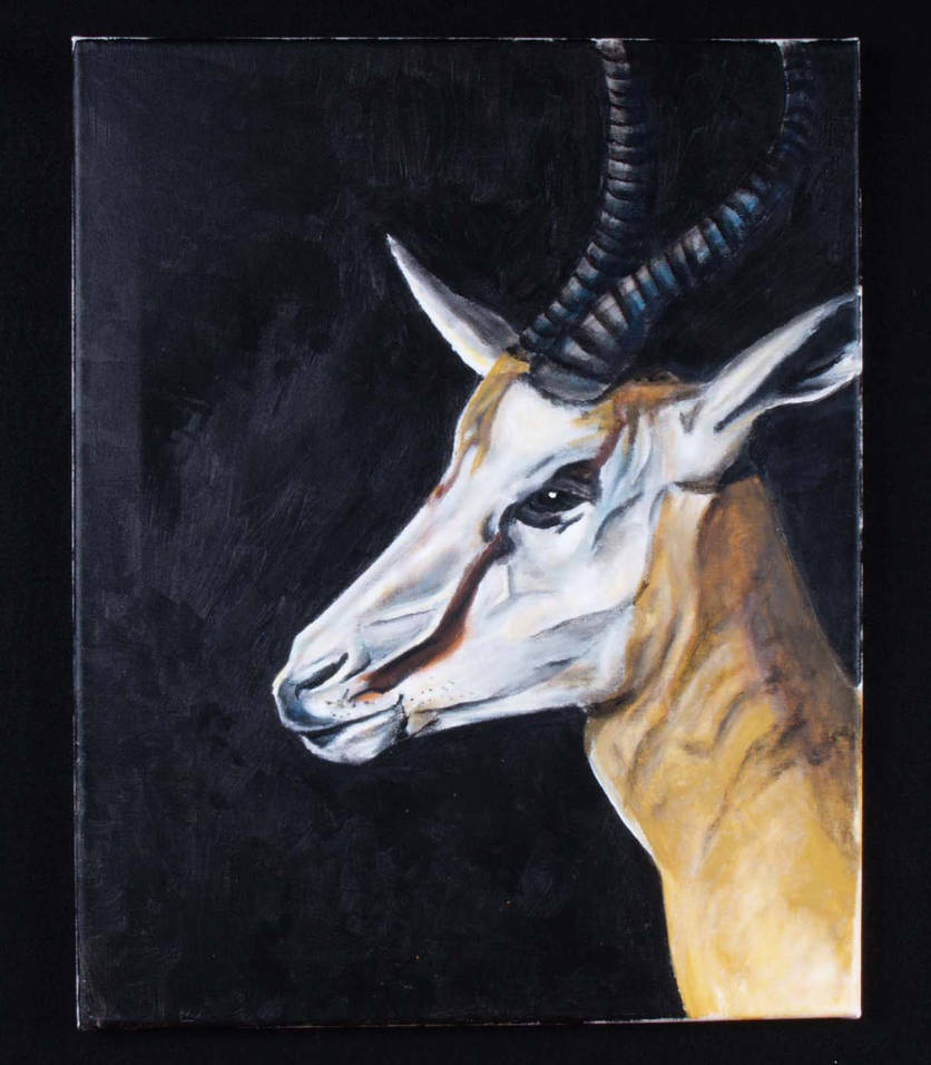 Springbok Head by startrekgroovenight on DeviantArt