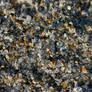 Brown Sand
