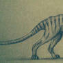 Thylacine