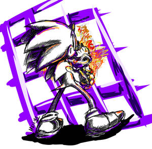 ~Sonic Wild Fire~