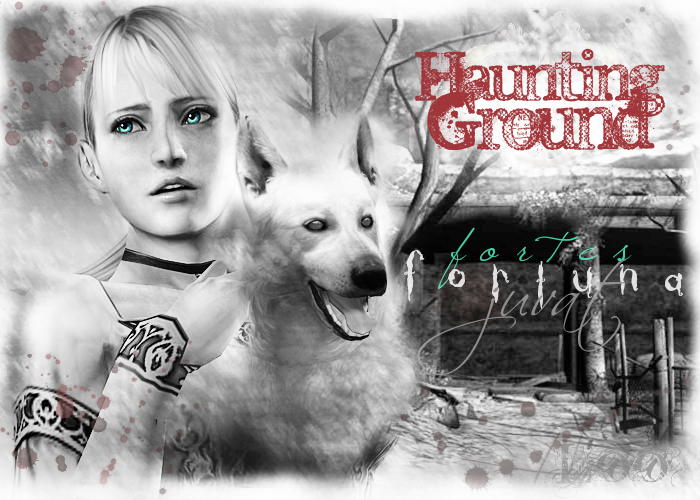 Haunting Ground