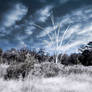 Infrared Trail