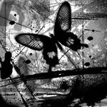black and white butterfly by m3ntalysan3