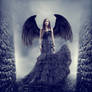 Dark angel