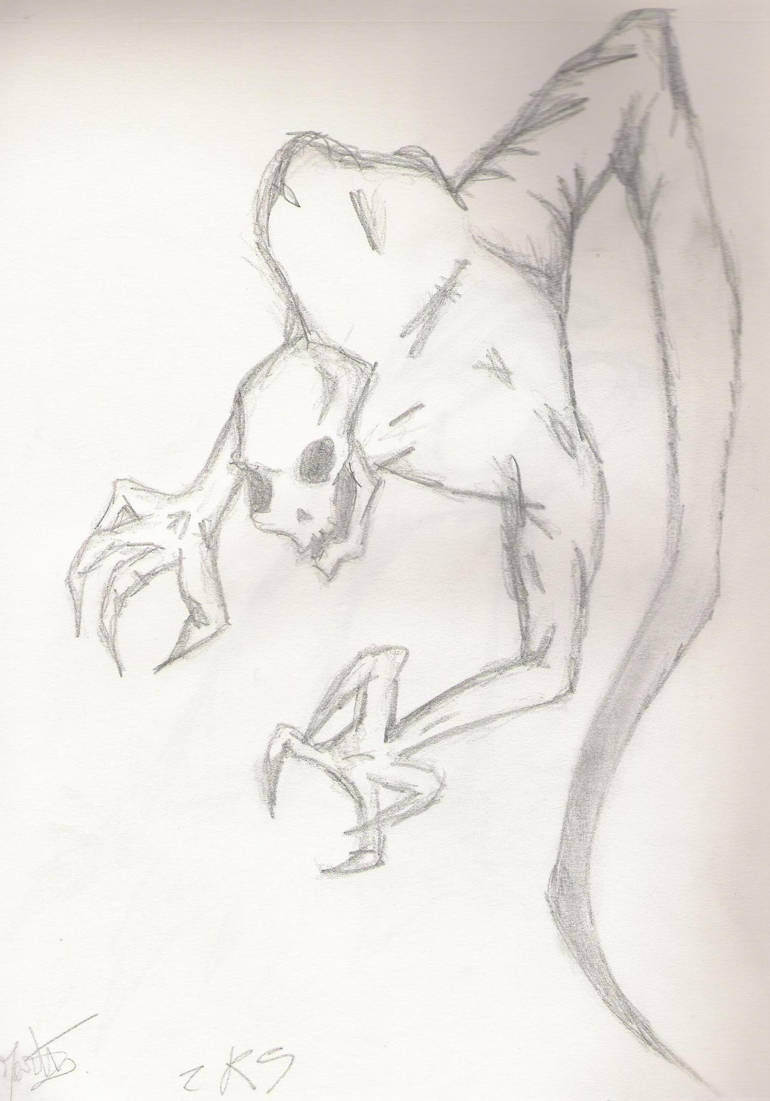 Ghost sketched