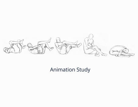 Animation study