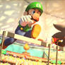 Luigi vs Shadow