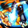 Charizars Y vs Charizard X