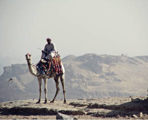 CamelRider