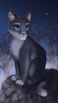 ~Bluestar