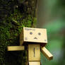 Danbo