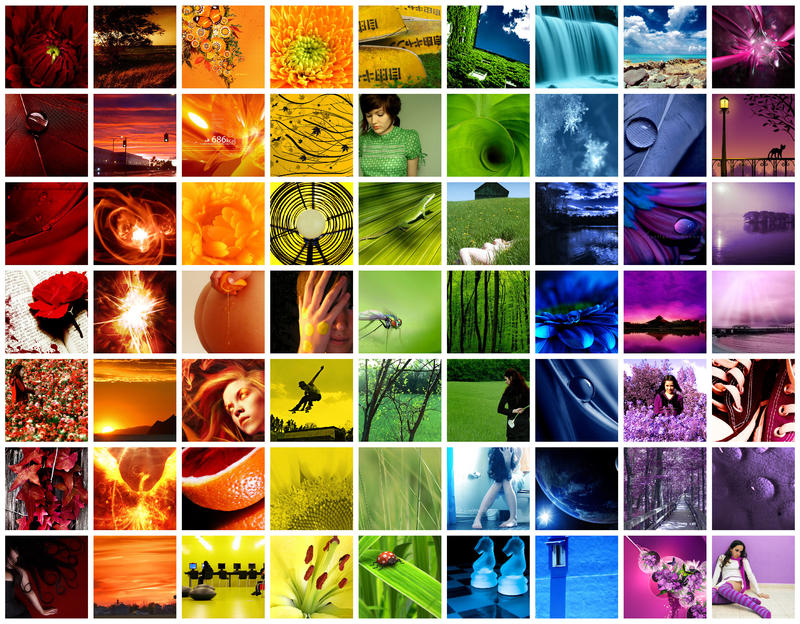 Collage of Colour by aidenology on DeviantArt
