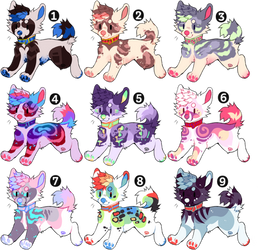 Dog Adopts Set Price Closed !