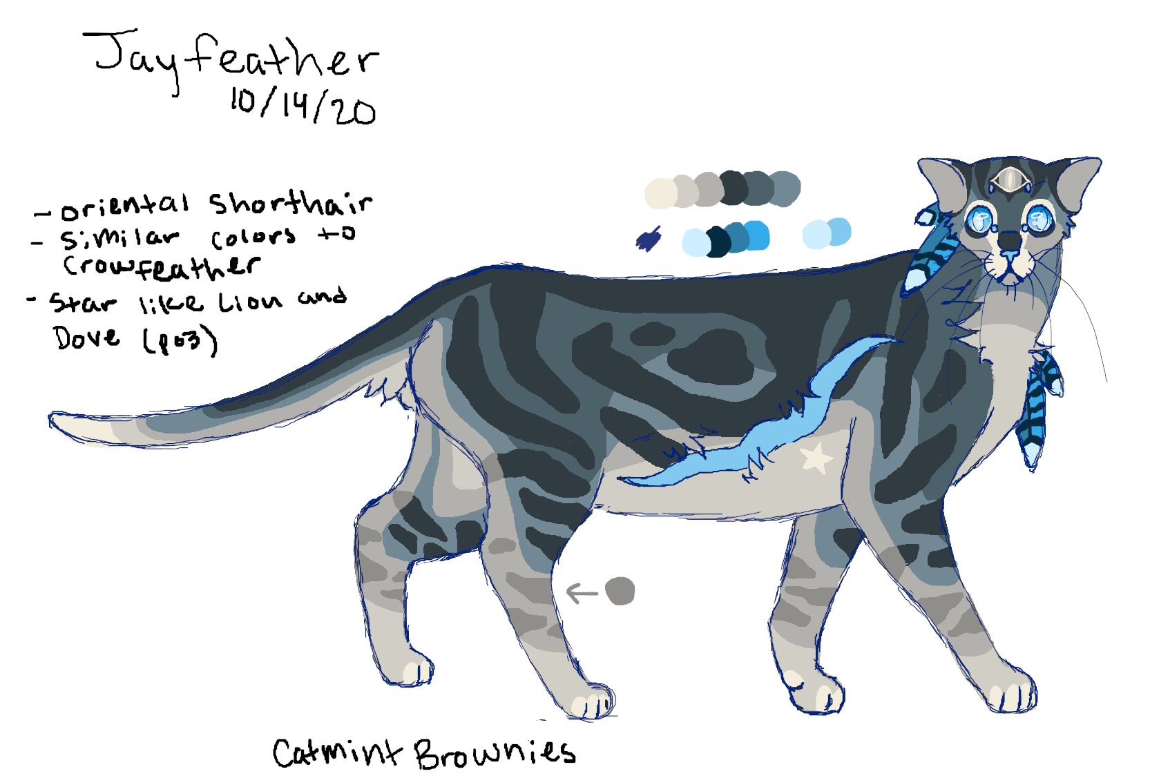 Jayfeather Character Sheet by Nightrizer on DeviantArt