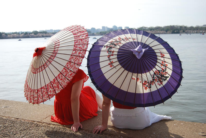 Parasols 2 by Sitara-LeotaStock Parasols 2 by Sitara-LeotaStock