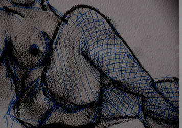 Fishnet