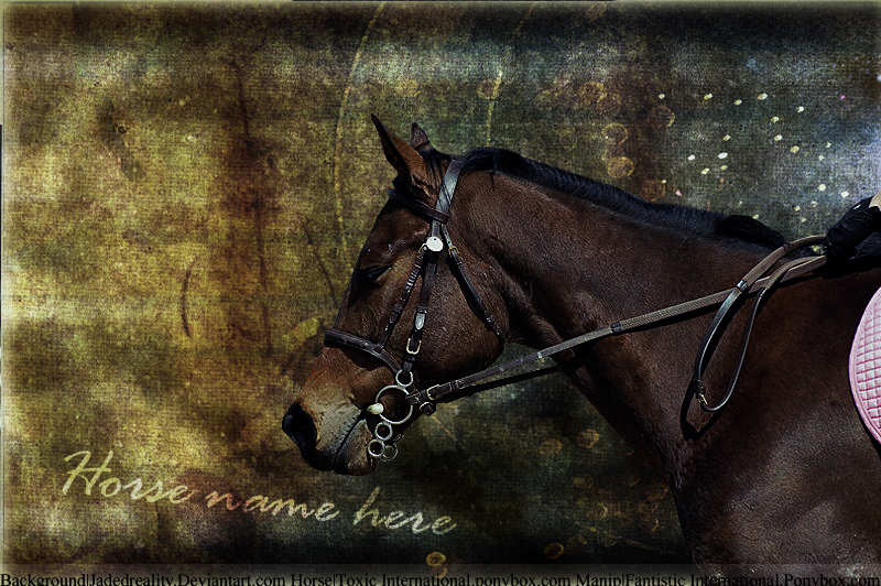 New horse graphic