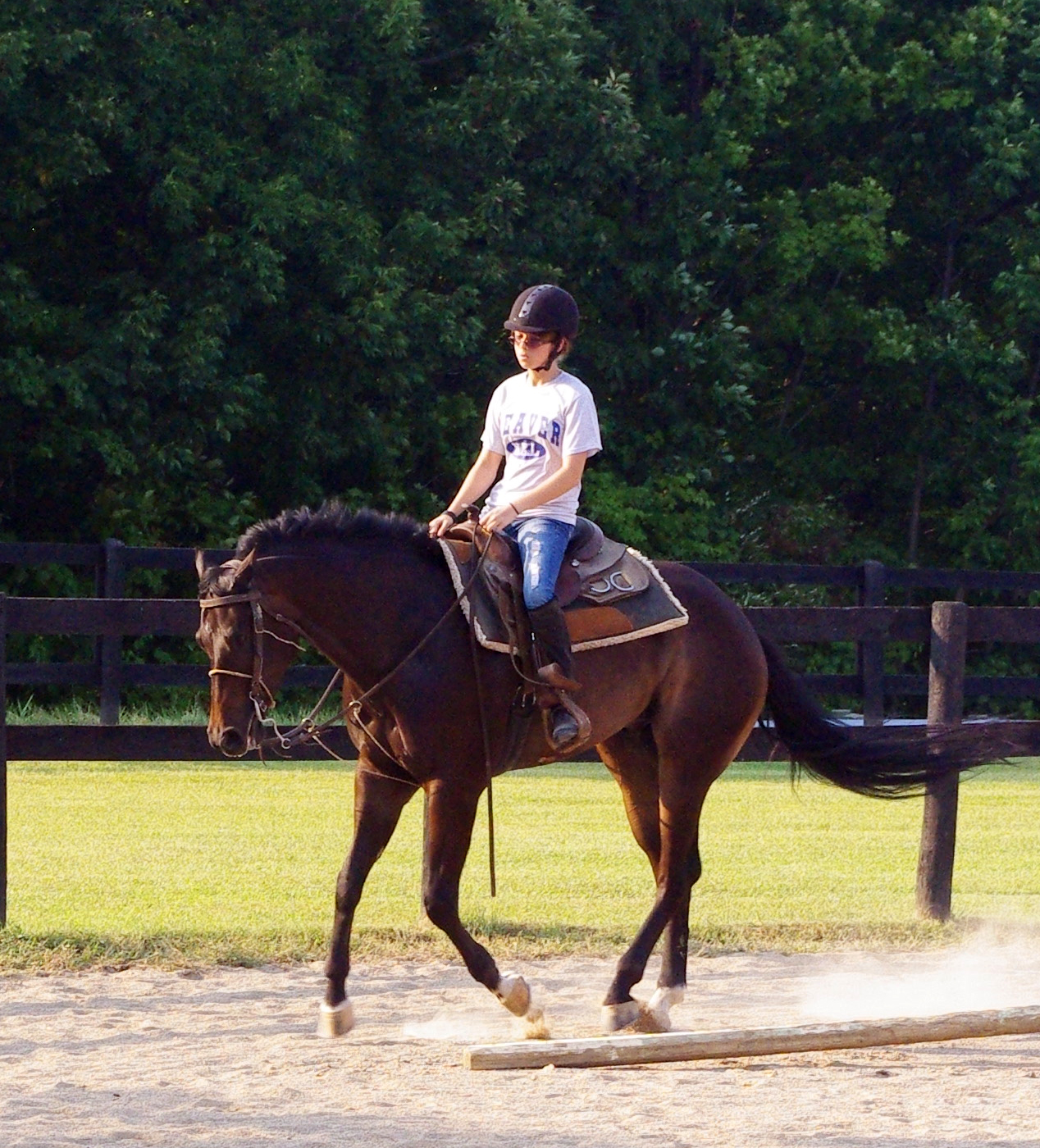 Wrangler And I