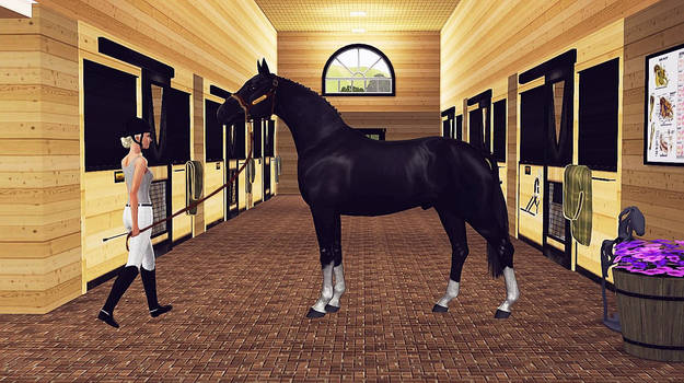 Sims 3 hunter stallion