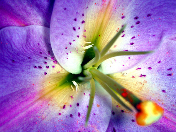 Flaring Color by mysteriouseye on DeviantArt