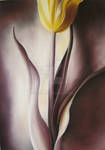 Tulpe VIII by GreenMusic